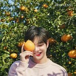 [강다니엘] <b>합성</b>이 현실이된 순간