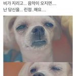 [댓글부탁해] 셀카잘나오는 어플좀 ㅈㅂ