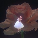 몽환적인 노래 추천해줄게!!!