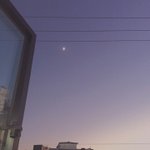[조언부탁해] 얘들아 나 고1인데 조언좀