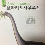 <b>스누피</b>시ㅡㅡ발