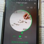 [세븐틴] 나만몰랐던이야기....버노나?