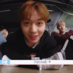 [모두드루와] 씹덕미 넘치는 박지훈 너는 펫!!