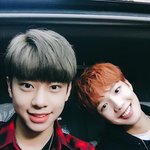 [임영민] 짹에올라온사진