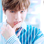 [강다니엘] •녤부리들 갤러리 10번째 녤짤은?