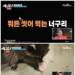 [댓글부탁해] 나 친구 때문에 스트레스 받아서 미치겟음ㅋㅋㅋㅋㅋ