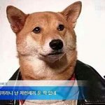 [모두드루와] 여중생 A <b>수호</b>