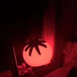 오늘 생리통 때문에 운 애 있었음