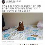 낼 등교할 때 체육복 입어도 되<b>낭</b>
