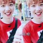 [임영민] 알파카시 +2