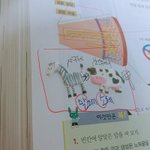 [개<b>뿌듯</b>] 중2과학개꿀팁찾았다