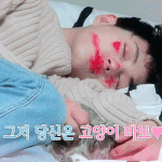 [고양이] 사랑받는 <b>JBJ</b>김용국 반려묘 자랑