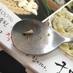 [개깊은빡침] 이거 무슨 벌레지? 내가 반 먹은 걸까...?(사진주의)