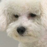 내 <b>맘속</b>에 저장