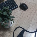 여자팬티 사진만 봐도 <b>흥분</b>하고 발광 하고