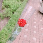 [댓글부탁해] 시험<b>끝</b>나고 볼 <b>드라마</b>나 애니 추천좀 해주랑