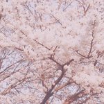 [EXO] <b>인성</b>파티 고고