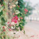 [댓글부탁해] 학생이 선생님 <b>어색</b>해하면 그 선생도 학생 <b>어색</b>해함???