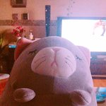 [드루와] <b>친척</b>오빠 인형이 가지고싶은데