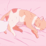 영어 잘하는 애들 들어와 줘 ㅠㅠ