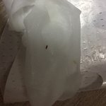 [댓글부탁해] 팩에서 이상한게 나왔어요