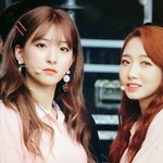 난 <b>이채영</b> 옹호하는 건 아닌데