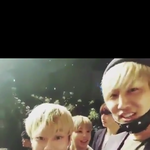 [브랜뉴즈] 비공연생