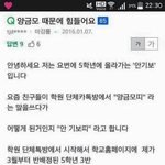 [댓글부탁해] 고양이<b>카페</b> 어디가야있음??