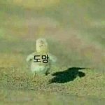 [19] 랜덤<b>채팅</b> 톡 차단 잘한걸까?