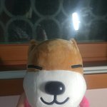 [드루와] 얘들아  나 운미친거지?