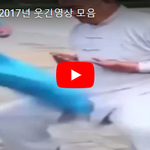 [마이갤] [<b>킬링</b>타임] 2017년 웃긴영상 모음
