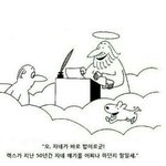 [댓글부탁해] 얘드랑 다비치 <b>혼혈</b> 렌즈 추천 좀