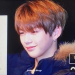 [강다니엘] 이건 멍뭉에서 늑대로 <b>진화</b>중인거야 ???