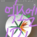 조카 이해가 안가는 부분