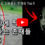 [댓글부탁해] 카메라에 찍힌 소름돋는 존재들 Top 5