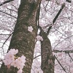 [댓글부탁해] 담임<b>쌤</b>하고 상담하는데 나보고 <b>말</b>이너무없대ㅋㅠㅠㅠ