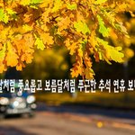 2017 <b>추석명절</b> 문자 인사말