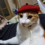 얘드라 170에