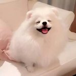[드루와] 방에서 문 다 닫고 이어폰으로 노래 듣는데 넘 <b>죠타</b>