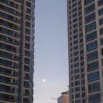 [도와주세요] <b>청포</b>도 파운데이션