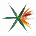 [EXO] 엑톡리젠높여줘서 <b>감사</b>ㅎㅎ