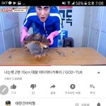 ㅋㅋㅋ턱형 또 동물학대하는 영상<b>올림</b>