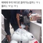 [조언부탁] <b>문이</b>과 선택 너무 고민돼요ㅠㅠㅠ