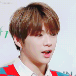 [강다니엘] 녤 졸커 팬싸 후기, 하나 더!