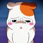 [댓글부탁해] 성적갖고 대학<b>운운</b>하면서 꼽주는데 조언좀