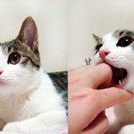 너희 <b>입덕</b> 어떻게함?