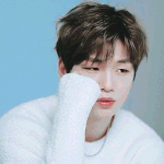 [강다니엘] ✔️강다니엘, <b>김자반</b> 해명 기자회견(+짹링크)