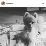 [BAP] 헐 <b>모찌</b>계정