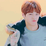[워너원] <b>새침</b> 녤