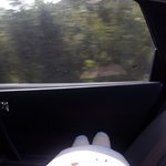 [드루와] 얘들아 우리 무떡이 햇빛<b>소독</b>중이다